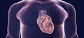 GPs' heart disease prediction tool narrows search for at-risk patients