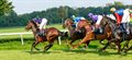 Using ultrasound to predict return to form for injured racehorses