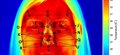 How the temperature of your nose shows how much strain you are under