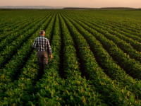 Event: Building Climate Resilient Agriculture