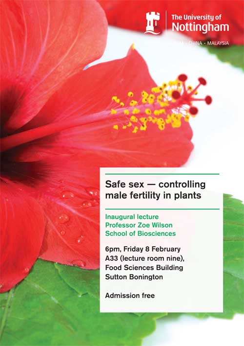 Safe Sex Controlling Male Fertility In Plants The University Of