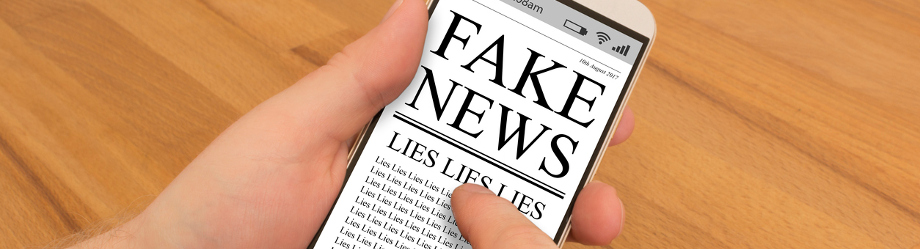 Fake News 920x249