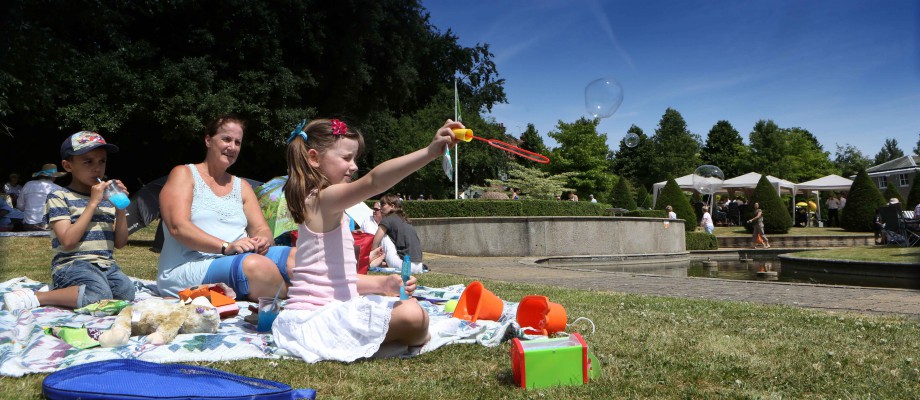 picnic-in-the-park-720-920x400-1