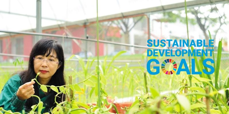 Researcher in greenhouse looking at plants with text Sustainable Development Goals overlaid