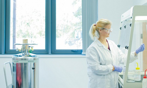 A person examines a sample in a lab, using a fume cupboard