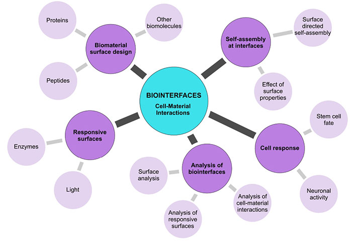 Cell-material-interactions