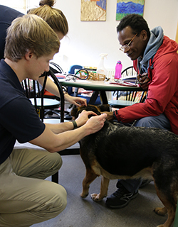 Veterinary student Ben Horner at clinic