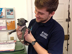 Vets in the Community student handles puppy at clinic