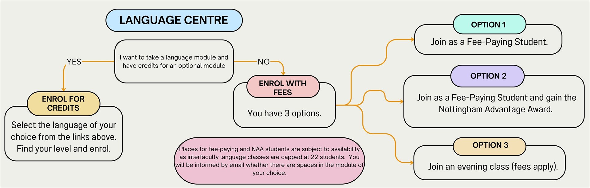 Flow chart showing options for fee paying language students. Details in text following the chart.