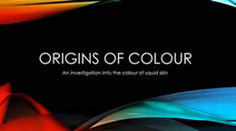 Origins of Colour2