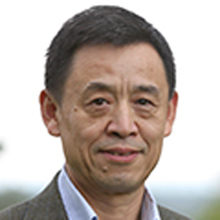 Dr Yuying Yan