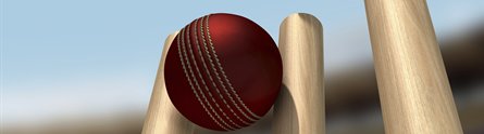 A cricket ball hitting the stumps