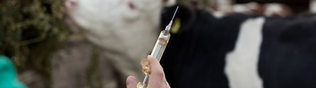 Farm injections