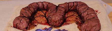 World's Grossest Cake