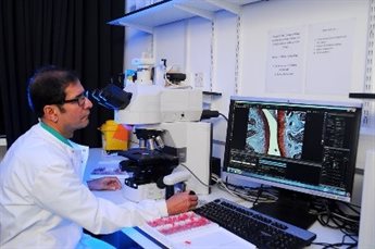 Technician examining Osteoarthritis slides