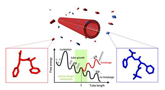 Controlling-the -Physical-dimensions of peptide nanotubes