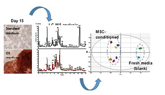 Non-destructive characterisation2-web