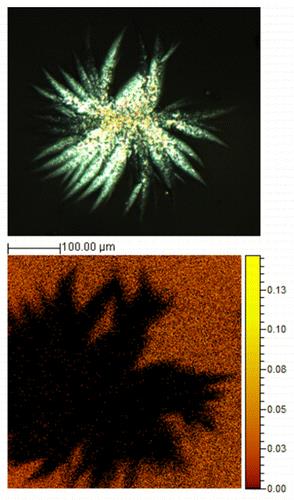 Indomethacin crystalline nuclei in an amorphous film onserved by two mcroscopy techniques