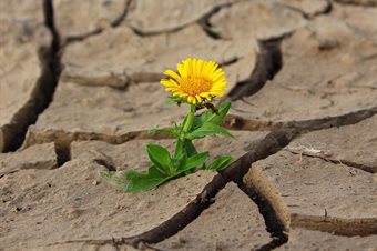 research-projects-blake-ewing-re-valuing-local-kno