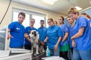 News Nottingham Vet School Earns Prestigious Accreditation From The 