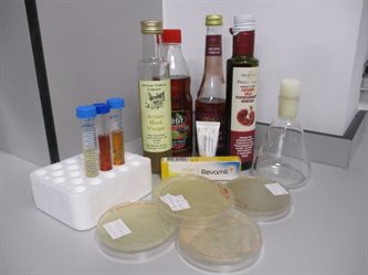 Projects - vinegar and honey