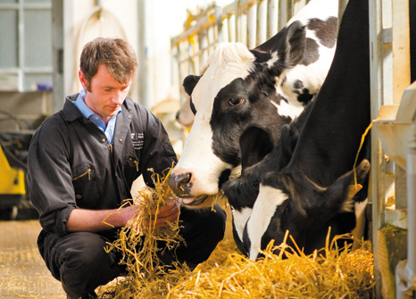 Dairy Herd Health Group - The University of Nottingham