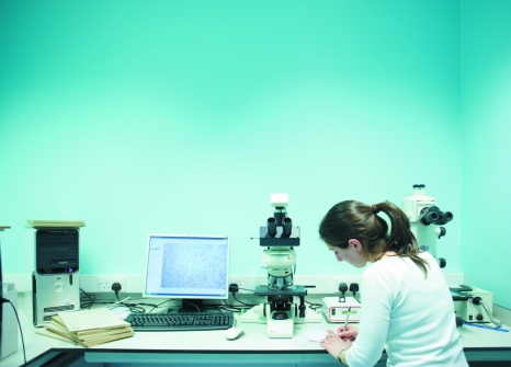 Female postgraduate student working in laboratory
