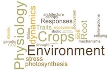 word cloud covering the key research in NEPH