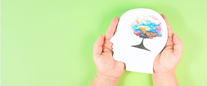 Hands holding a side profile of head with brain as a colourful tree