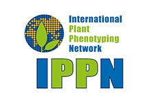 ippn_logo-1