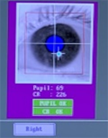 Experimenter view of eye tracking screen
