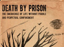 Death by Prison book