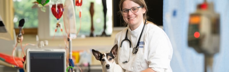 Vet researcher sitting in lab and smiling with dog on lap