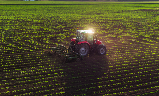 synthetic fertiliser use