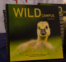 Wild campus books for sale
