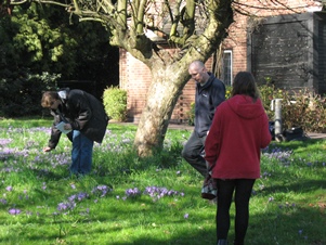 Counting Nottingham spring crocus on University Park