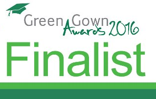green gowns 2016 crop