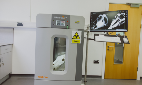 An enclosed X-ray machine containing an animal skull, with an attached monitor displaying the X-ray scan