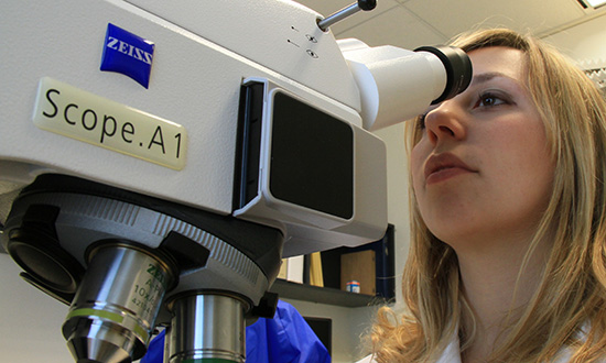 A researcher in a laboratory looking through a microscope