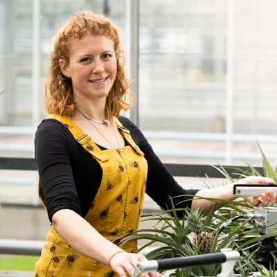 PhD student working in a green house