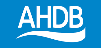 Link to ADHB logo