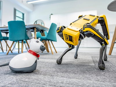 Two robot dogs