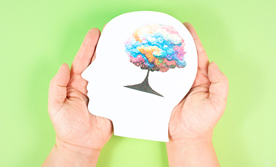 Hands holding a cut out of side profile of head with blossoming tree as brain