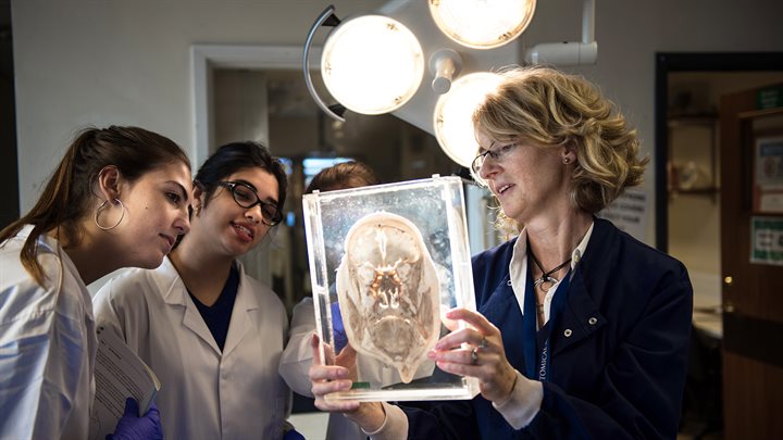 Research examines brain scan with interested students