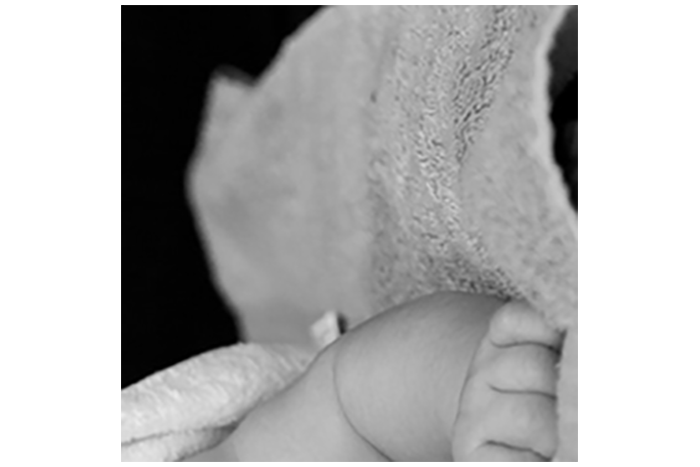 Part of baby bulb image