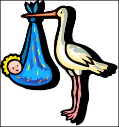 A stork carrying a baby