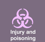 Verletzungen und Vergiftungen bis zu 4* höheres Risiko für Verletzungen und Vergiftungen