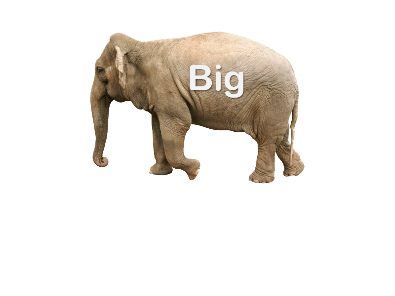 Elephant with big written on it