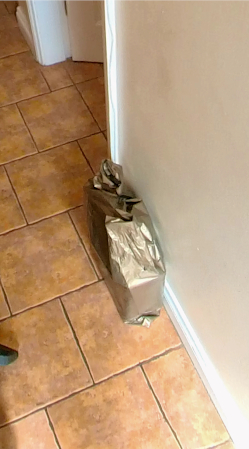 The Parcel is positioned on the floor near a front door and is clearly another hallway hazard.