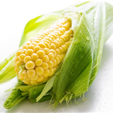 Image of a cob that has been harvested from a maize plant